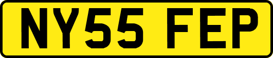 NY55FEP