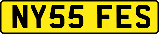 NY55FES