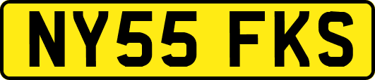 NY55FKS