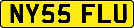 NY55FLU