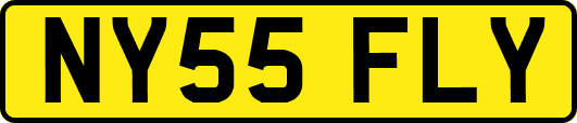 NY55FLY
