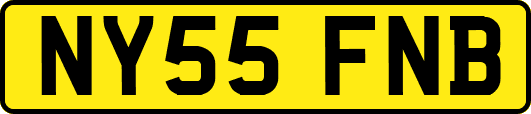 NY55FNB