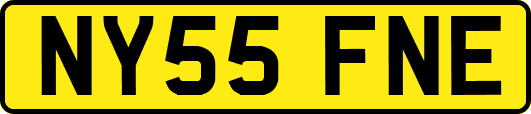 NY55FNE