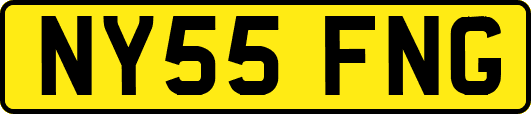 NY55FNG