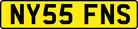 NY55FNS