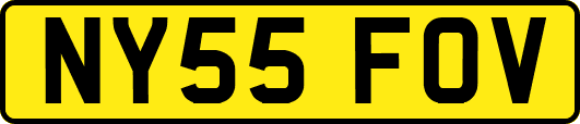 NY55FOV