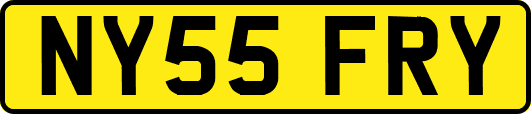 NY55FRY
