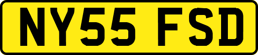 NY55FSD
