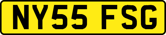 NY55FSG