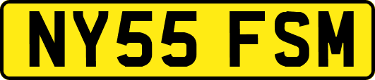 NY55FSM