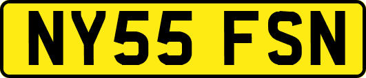 NY55FSN