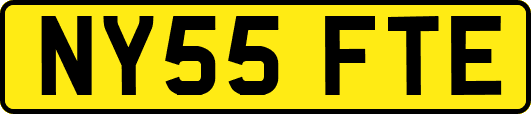 NY55FTE