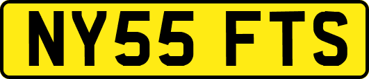 NY55FTS