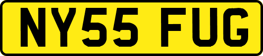 NY55FUG