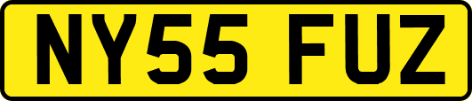 NY55FUZ
