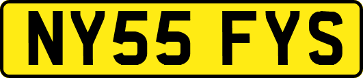 NY55FYS