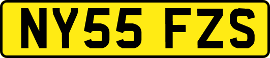 NY55FZS