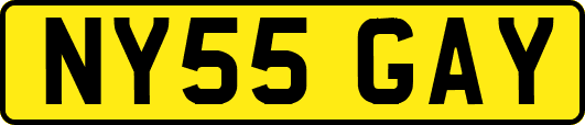 NY55GAY