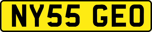 NY55GEO