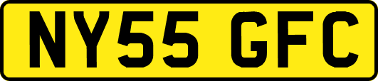 NY55GFC
