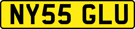 NY55GLU
