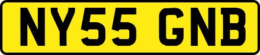 NY55GNB