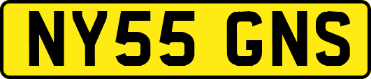 NY55GNS