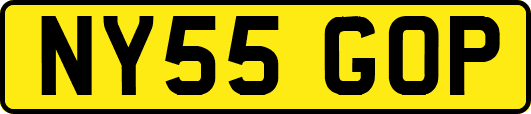 NY55GOP