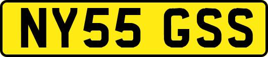 NY55GSS