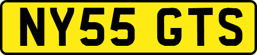 NY55GTS