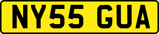 NY55GUA