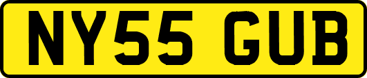 NY55GUB
