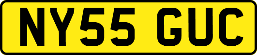 NY55GUC