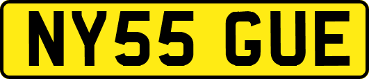 NY55GUE