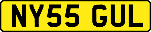 NY55GUL