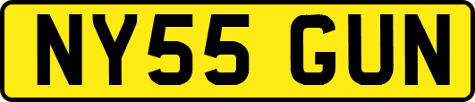 NY55GUN