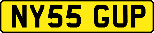 NY55GUP