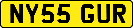 NY55GUR