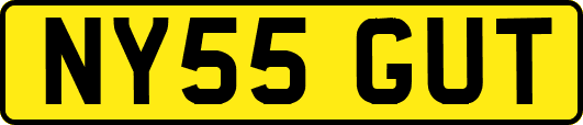 NY55GUT
