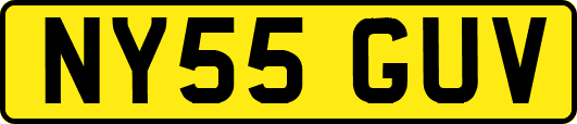 NY55GUV