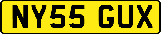 NY55GUX