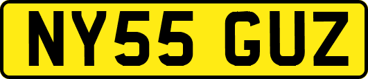 NY55GUZ