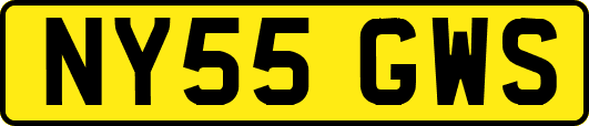 NY55GWS