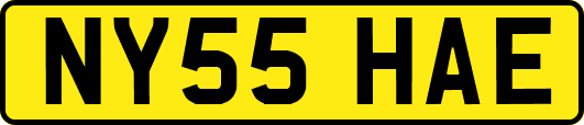 NY55HAE