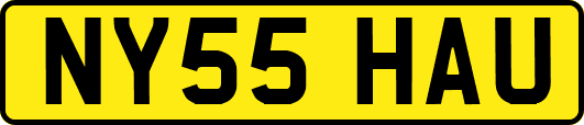 NY55HAU