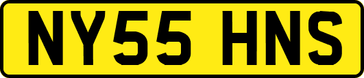 NY55HNS