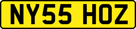 NY55HOZ