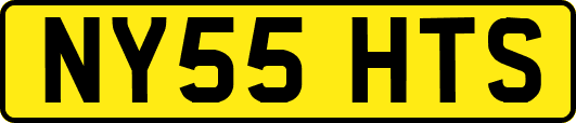 NY55HTS