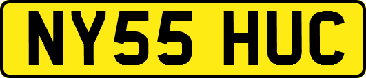 NY55HUC