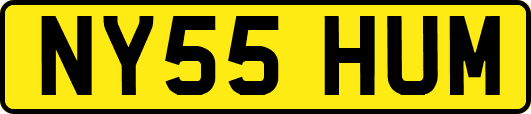 NY55HUM